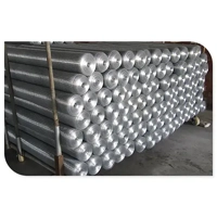 uae/images/productimages/powerful-hard-&-elect-ware-tr-llc/metal-mesh/galvanised welded-wire-mesh.webp